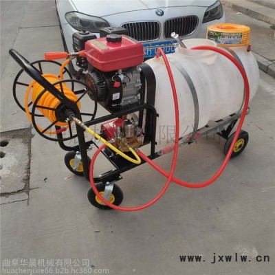 手推式打藥機(jī)  HC-DYJ汽油殺蟲消毒機(jī)  華晨汽油打孔機(jī)