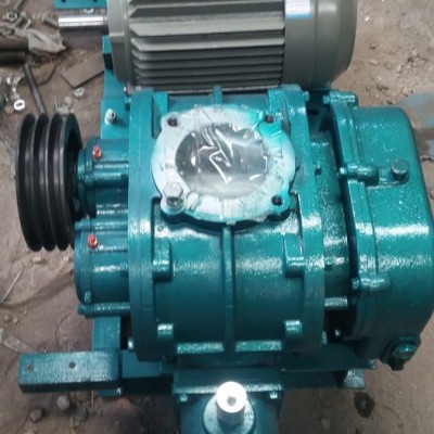LYSR200風(fēng)機 廠家批發(fā)羅茨鼓風(fēng)機 羅茨風(fēng)機現(xiàn)貨 負壓羅茨風(fēng)機