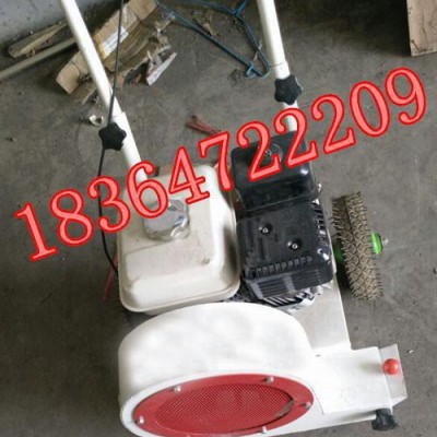 山東百一機(jī)械馬路吹風(fēng)機(jī)  汽油吹風(fēng)機(jī) 地面吹風(fēng)機(jī)  小型吹風(fēng)機(jī) 價(jià)格