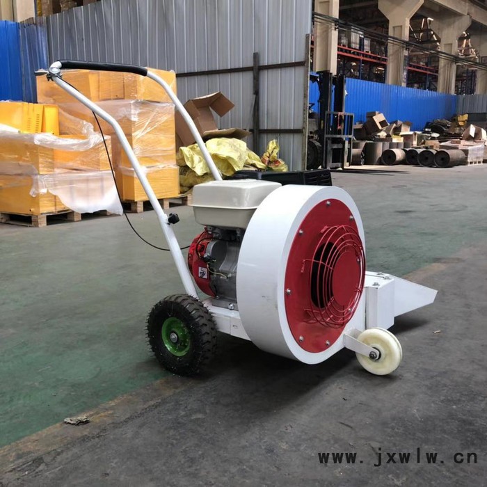 低價(jià)供應(yīng)道路清理吹風(fēng)機(jī) 手推式吹風(fēng)機(jī)
