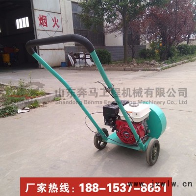 小型馬路吹風機 混凝土裂縫吹風機 汽油吹風機園林吹灰塵石子 路面吹風機