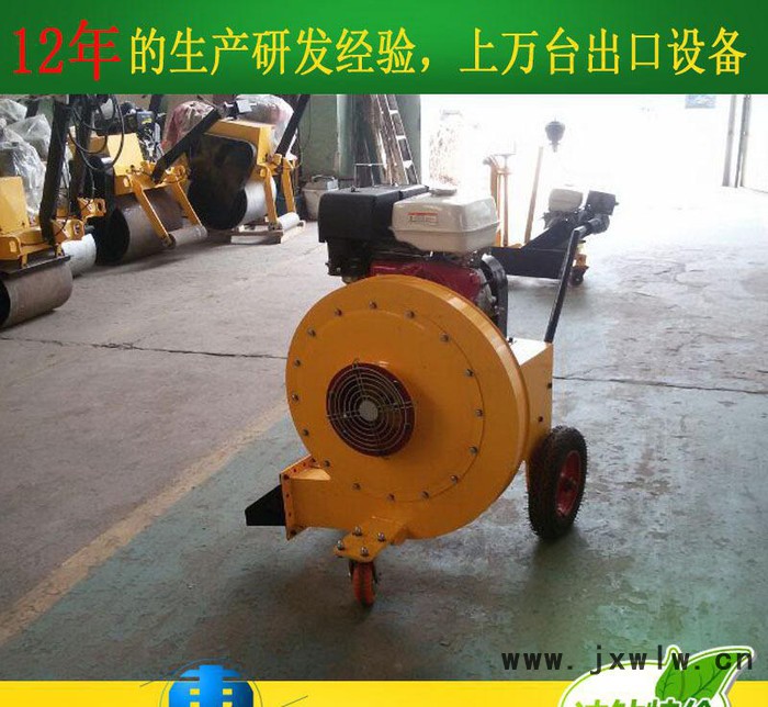 手扶式路面吹風(fēng)機 馬路吹風(fēng)機 路面清理吹風(fēng)機價格 吹風(fēng)機質(zhì)量