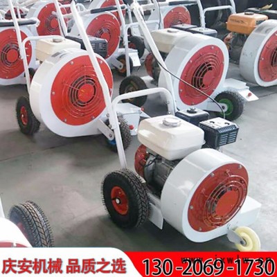 慶安QCF-55 路面吹風(fēng)機，馬路吹風(fēng)機，汽油吹風(fēng)機低價現(xiàn)貨