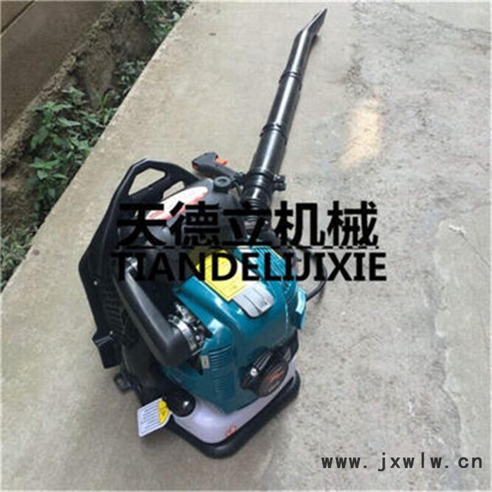 四沖程背負(fù)式吹風(fēng)機(jī) 汽油動(dòng)力吹風(fēng)機(jī) 大功率吹風(fēng)機(jī)廠家