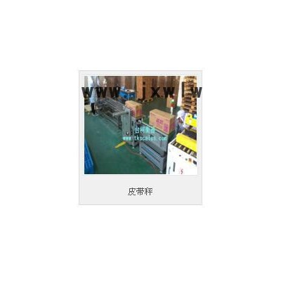 臺(tái)柯衡器  一體化直聯(lián)式減速流水線皮帶秤/自動(dòng)化皮帶稱/scs皮帶機(jī)電子秤