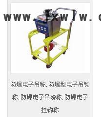 臺(tái)柯衡器OCS-XC-D防爆電子吊秤,防爆型電子吊鉤稱,防爆電子吊磅稱,防爆電子掛鉤稱