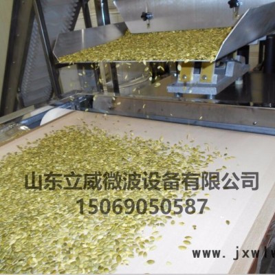 濟(jì)南微波干燥設(shè)備生產(chǎn)廠家立威HY-MF3016微波干燥設(shè)備直銷 歡迎詢價 可按使用要求訂制