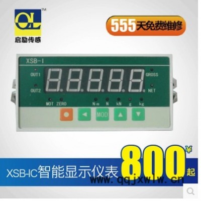 供應(yīng)XSB-IC 高速智能顯示儀表 高精度 快響應(yīng)速度 稱重測量實驗儀表 遼寧 上海 廣州 北京 江蘇 浙江 安徽 山西