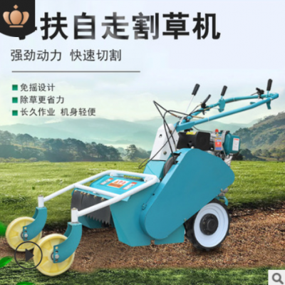 農(nóng)用汽油鋤草碎草機(jī) 柴油秸稈還田機(jī)碎草割草機(jī) 小型農(nóng)業(yè)機(jī)械