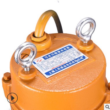 市場(chǎng)型小型污泵家用潛污泵潛水排污泵污水提升泵 220V人民污水泵