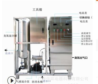 100g高濃度臭氧水機(jī) 水產(chǎn)肉雞屠宰 加工臭氧消毒機(jī)消毒