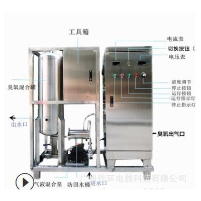 100g高濃度臭氧水機(jī) 水產(chǎn)肉雞屠宰 加工臭氧消毒機(jī)消毒