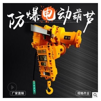 四級(jí)粉塵防爆電動(dòng)葫蘆1t氣體防爆380v環(huán)鏈電動(dòng)葫蘆2t防爆葫蘆直營(yíng)
