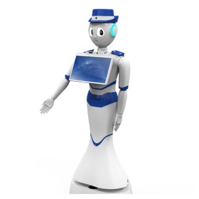 ai商用服務(wù)機器人wifi多功能咨詢接待機男女聲語音對話機器人批發(fā)