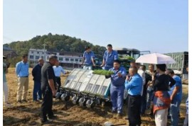 雙峰：推廣油菜機(jī)械化播種 助力農(nóng)戶增產(chǎn)增收